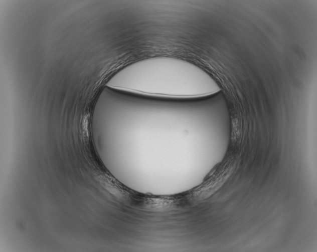 X0000113310286200909141012