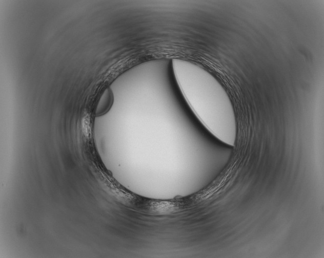 X0000113310287200909141012