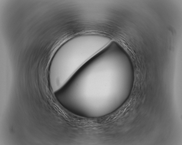 X0000113310289200909141011