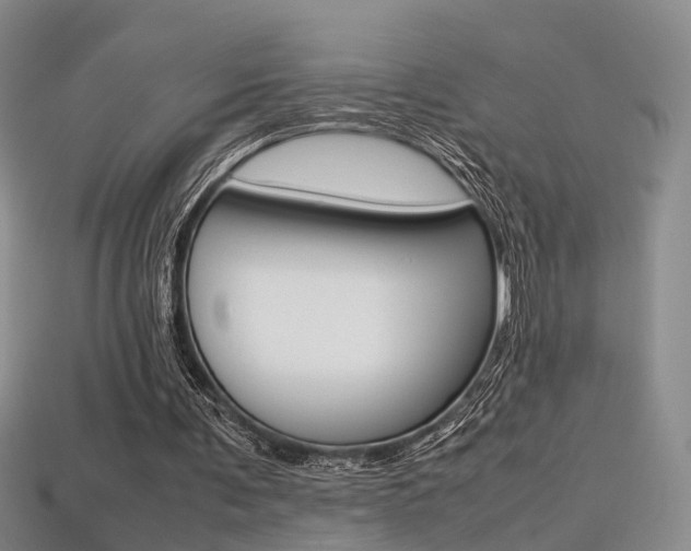 X0000113310291200909141011