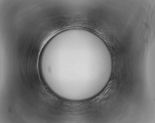 X0000113310292200909141011