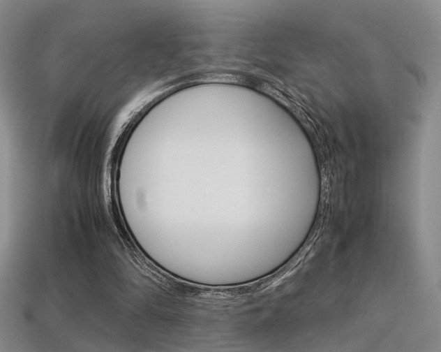X0000113310294200909141011
