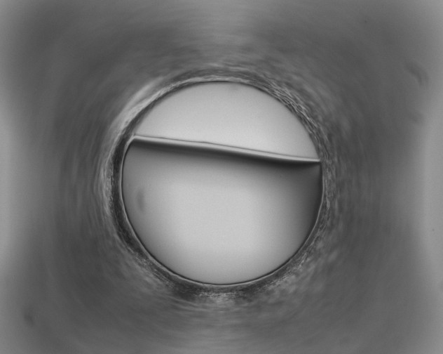 X0000113310295200909141011