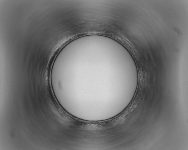 X0000113310298200909141011