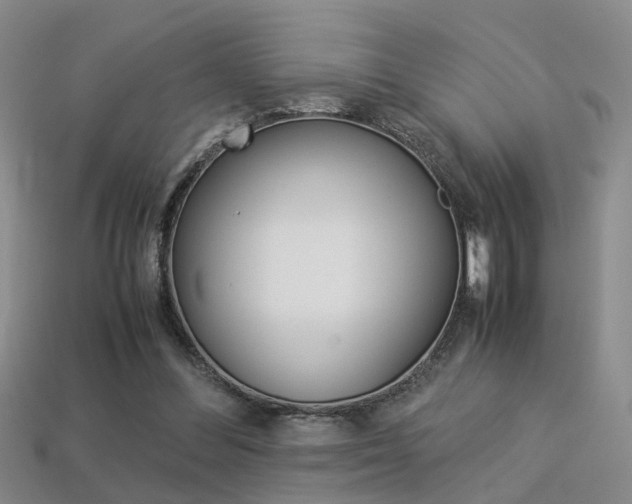 X0000113310300200909141011