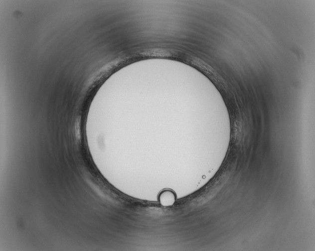 X0000113310302200909141011