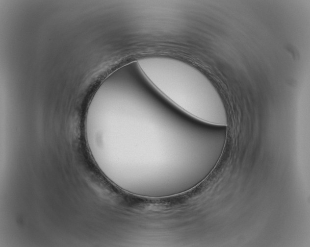 X0000113310303200909141011