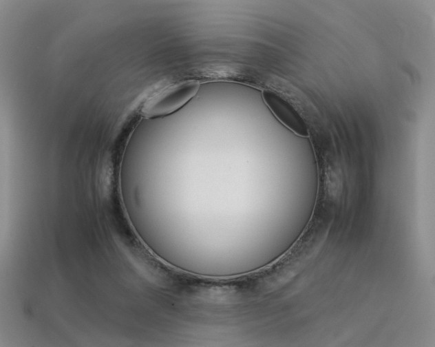 X0000113310304200909141011