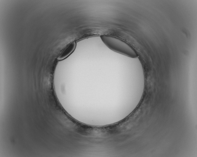 X0000113310305200909141011