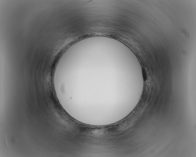X0000113310306200909141011