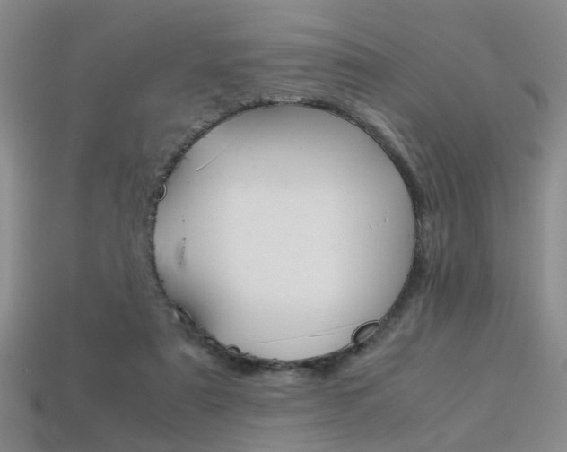 X0000113310307200909141011