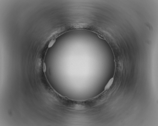 X0000113310308200909141011