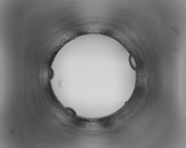 X0000113310309200909141011