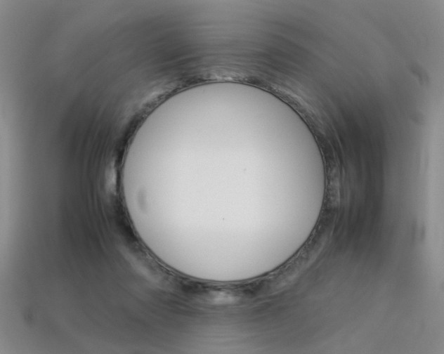 X0000113310310200909141011