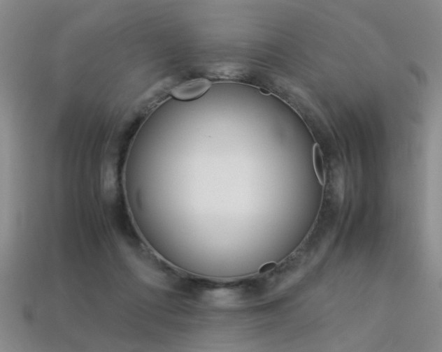 X0000113310312200909141011