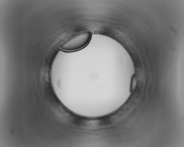 X0000113310313200909141011