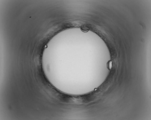 X0000113310317200909141011