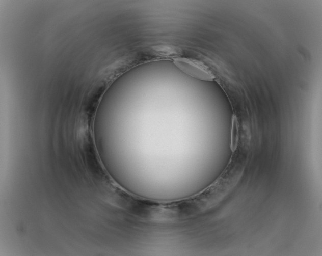 X0000113310320200909141011