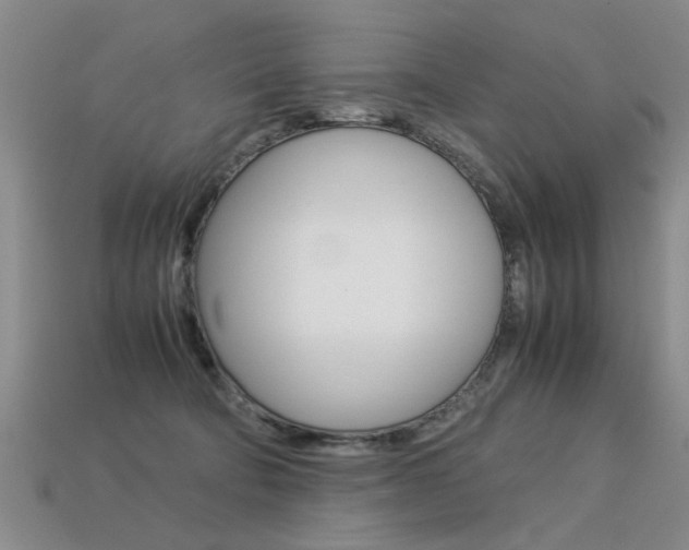 X0000113310322200909141011