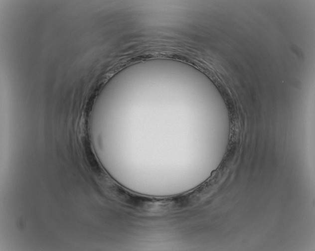 X0000113310323200909141011