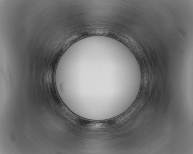 X0000113310326200909141011