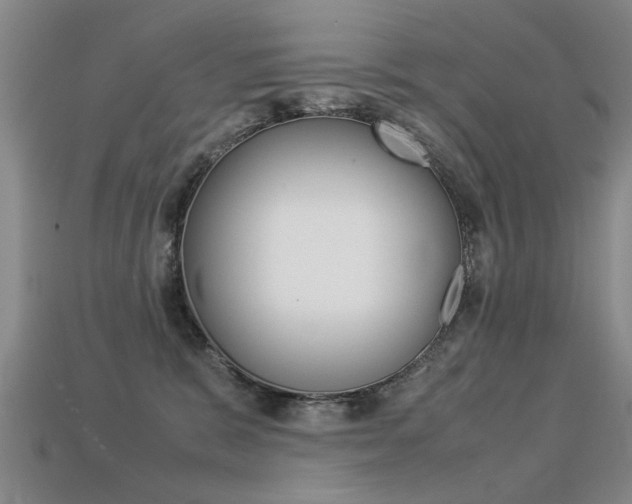 X0000113310327200909141011