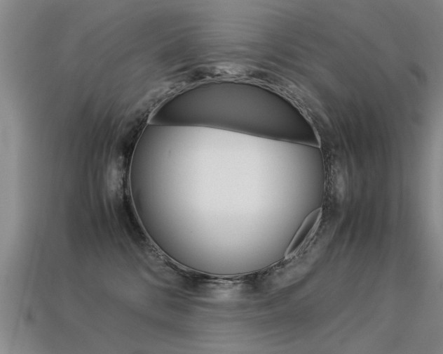 X0000113310328200909141011