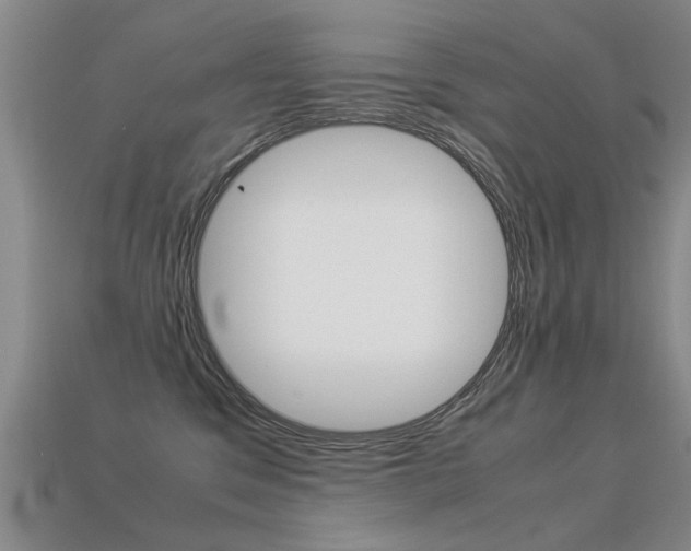 X0000113310329200909141011