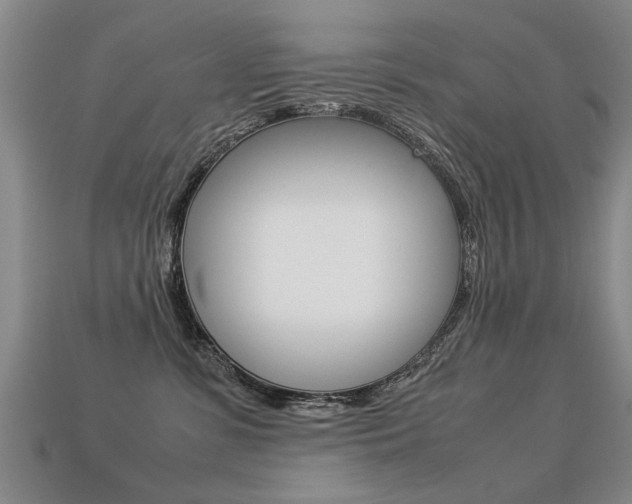 X0000113310331200909141011