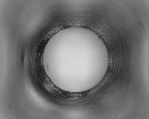 X0000113310334200909141011