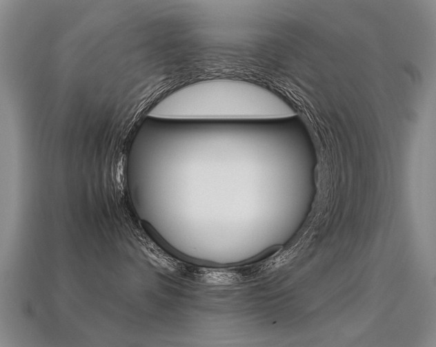 X0000113310336200909141011