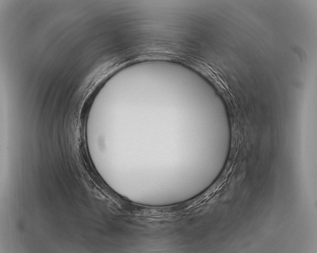 X0000113310338200909141010