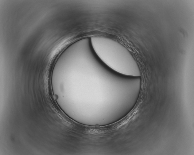 X0000113310341200909141010
