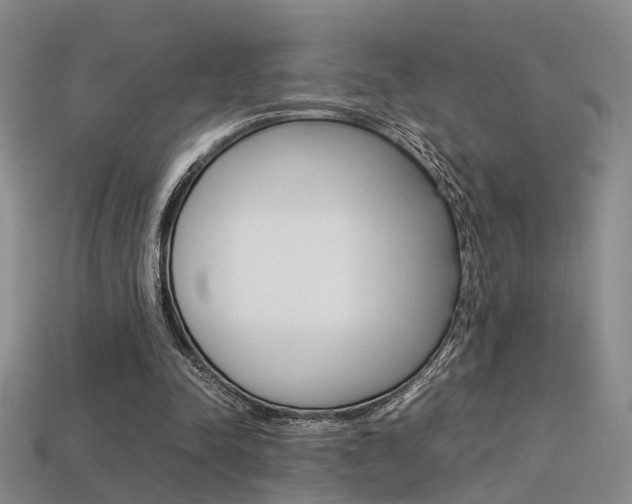 X0000113310342200909141010