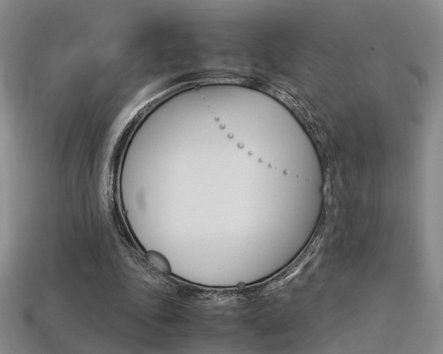 X0000113310343200909141010