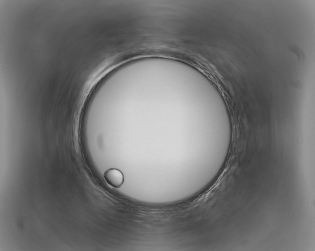 X0000113310344200909141010