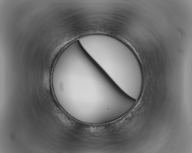 X0000113310345200909141010