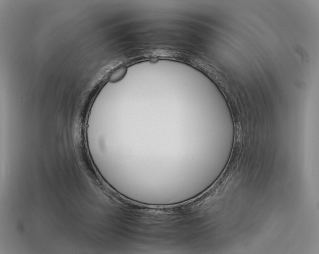 X0000113310347200909141010