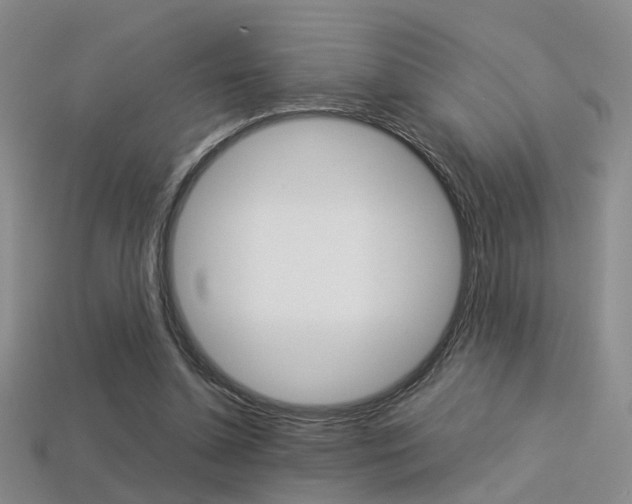 X0000113310348200909141010