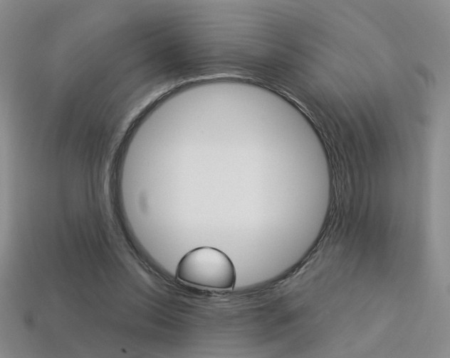 X0000113310350200909141010