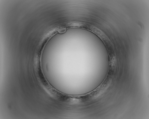 X0000113310352200909141010