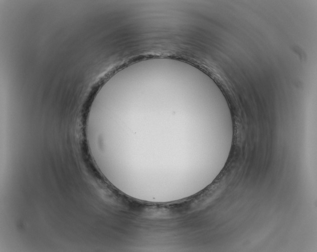 X0000113310354200909141010