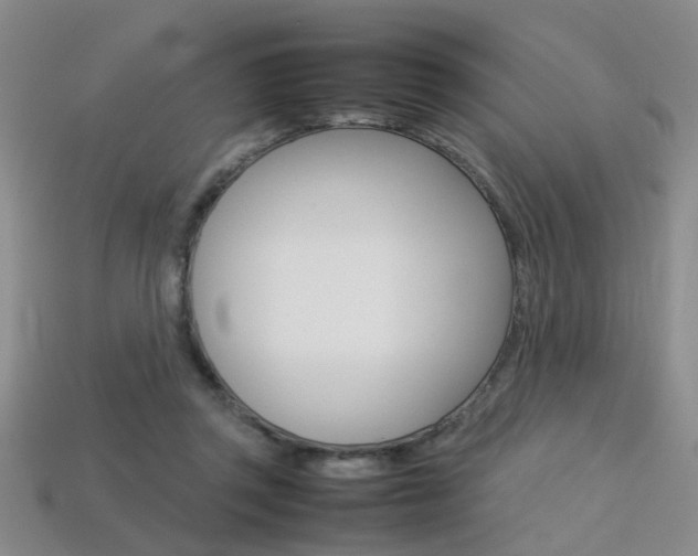 X0000113310357200909141010