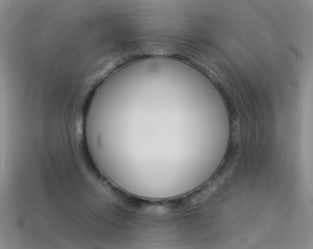 X0000113310358200909141010