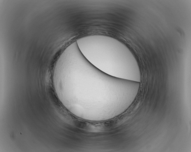 X0000113310359200909141010