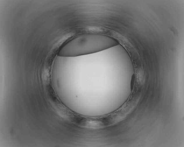 X0000113310360200909141010