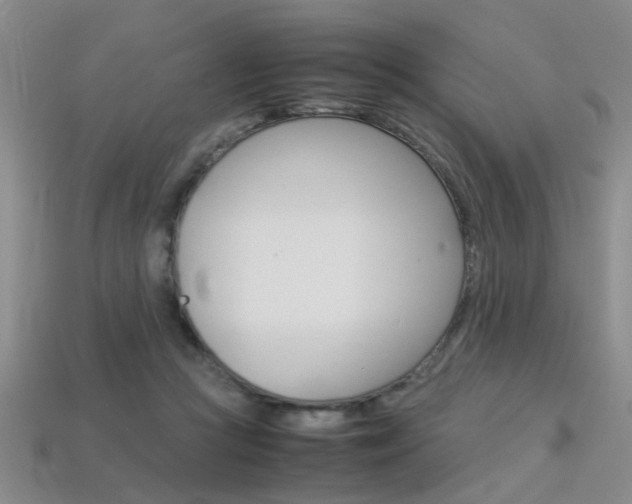 X0000113310361200909141010