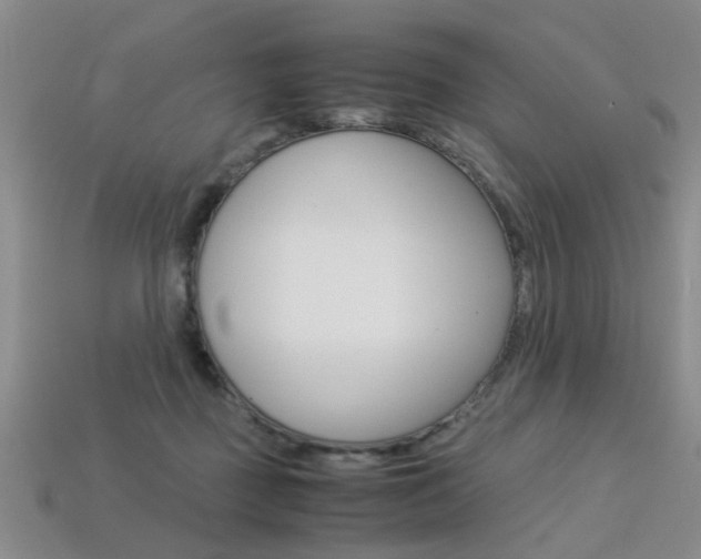 X0000113310363200909141010