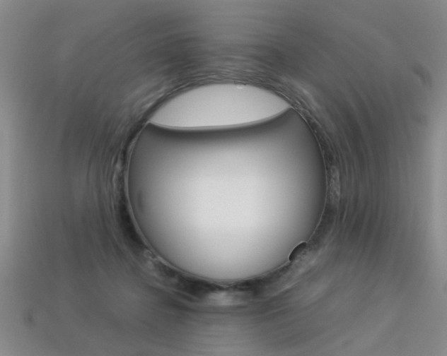 X0000113310364200909141010