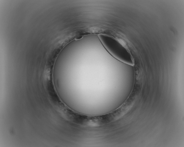 X0000113310368200909141011